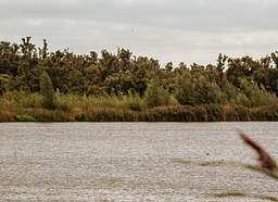 Brabant septentrional