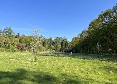 Mooi gelegen vakantiehuis midden op de Veluwe - 33