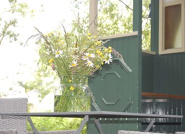 Unieke paardentram op een prachtige locatie - 13