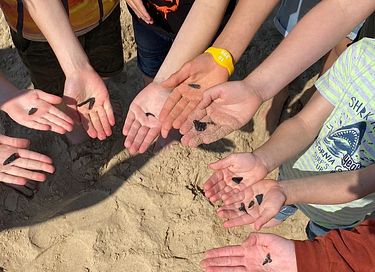 Lodge pour 6 personnes au bord de la mer en Zélande - 39