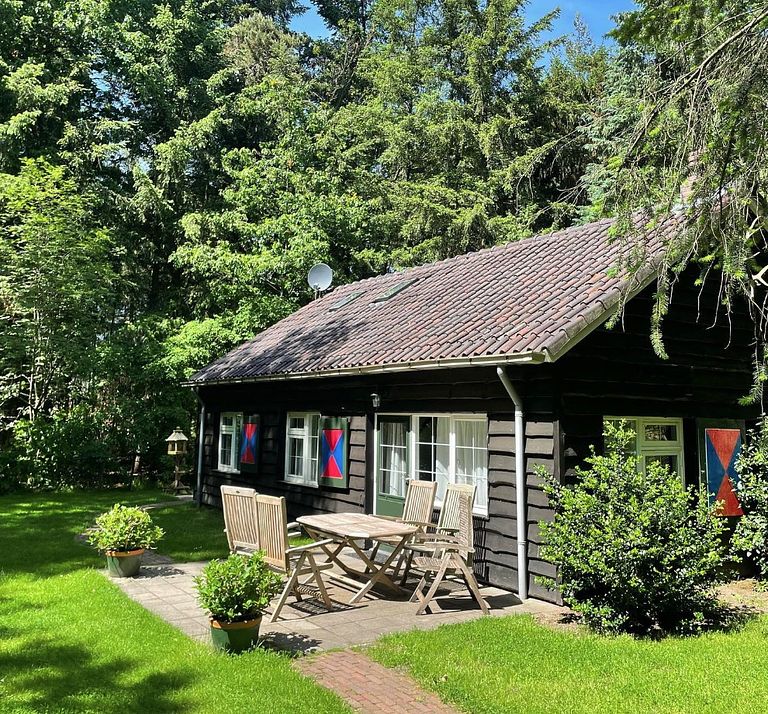 Knus boshuisje midden in de Veluwe - 1