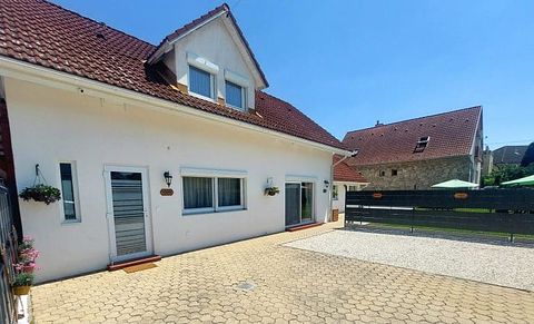 Appartements accueillants pour les animaux - 3