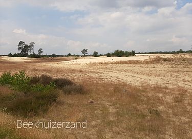 Natuurhuisje met omheinde tuin - 24