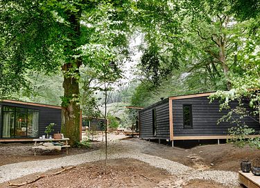 Beautiful forest cabin in small vacation park - 22