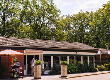 Logement de vacances avec sauna dans les forêts de Veluwe - 13