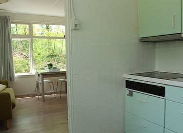 Knus boshuisje met houtkachel  - 11