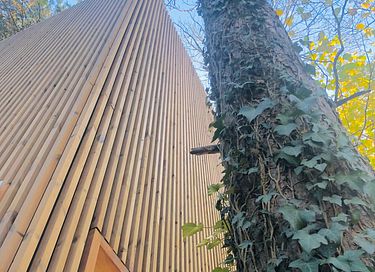 Tour de couchage unique (8 mètres) dans la forêt - 25