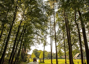 Beautiful group accommodation for 20 people. - 38