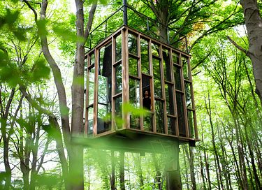 Overnight among the trees in glass cabin - 14