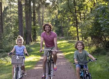 Beau bungalow familial pour 4 personnes à Veluwe - 14