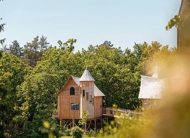 Treelodge avec sauna dans les Ardennes - 2