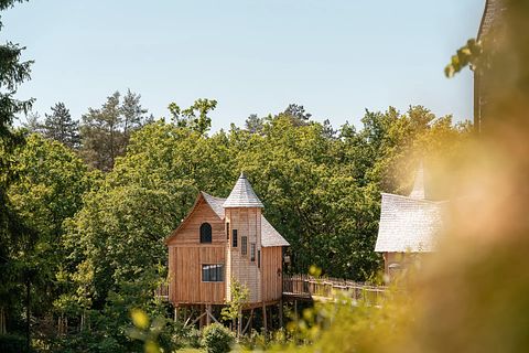 Treelodge avec sauna dans les Ardennes - 2