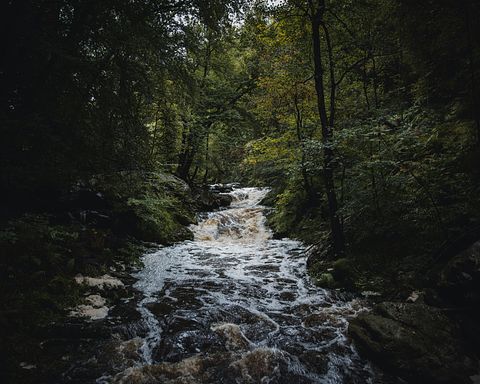 Gruppenunterkünfte aus Holz in den Ardennen - 3