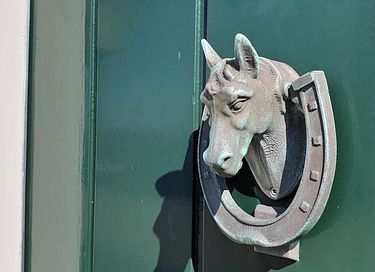 Monumental holiday home on Texel - 16
