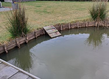 Natuurhuisje met leuke visvijver  - 38