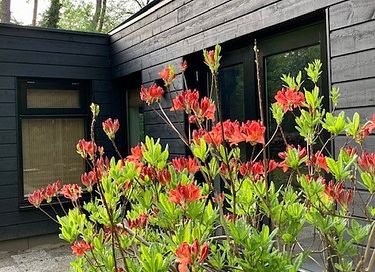 Design boshuis midden in de natuur - 17