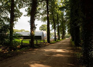 Zurück zu den Wurzeln auf einem Bauernhof am Waldrand - 29