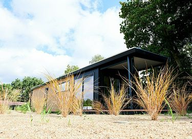 T tiny house (4p) on the Veluwe - 14