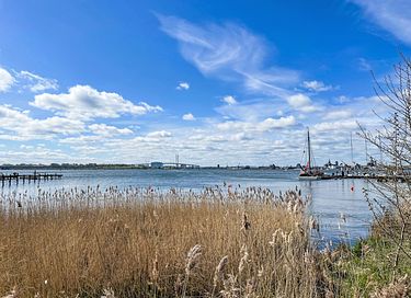 Logement de vacances avec sauna sur l'île de Rügen - 38