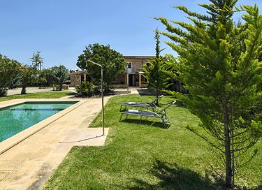Groen vakantiehuis met veel privacy  - 16
