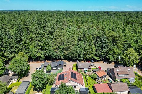 Maison à l'orée de la forêt avec salle de cinéma et sauna - 2