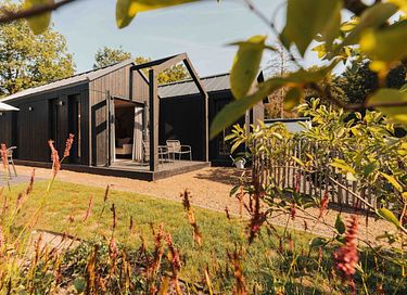 Maison dans la forêt Veluwe - chien admis