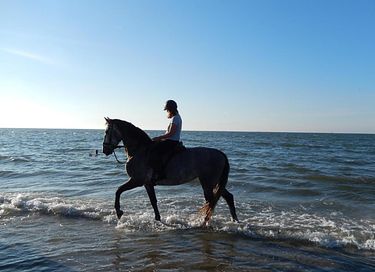 Attractive Bed & Breakfast on Terschelling - 42