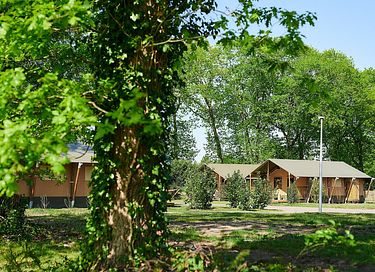 Villatent met privé sanitair op de Veluwe - 3