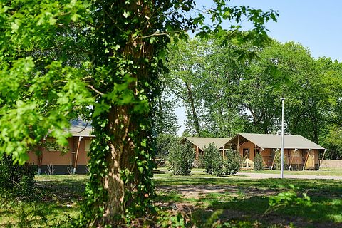 Villatent met privé sanitair op de Veluwe - 3