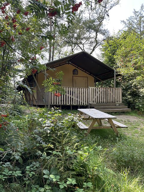 Luxe glampingtent in het bos met buitenbad - 4