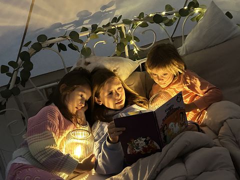 Glamping blandt alpakaerne - 4
