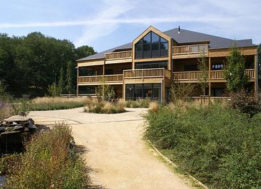 Bel hôtel forestier en bois  - 5