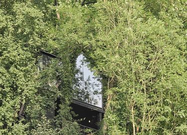 Unique cabane dans les arbes avec sauna privé dans les Ardennes - 37