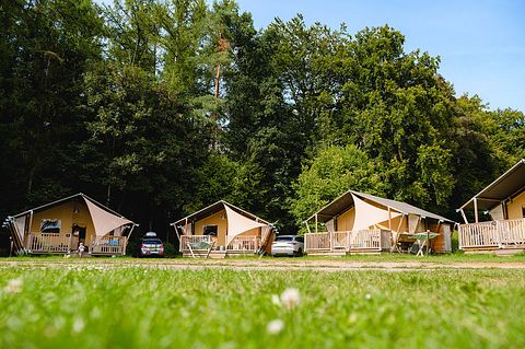 Glamping tent (5p) in Belgian Ardennes - 4
