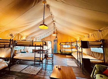 Safari tent for 8 people in eco-camping - 3