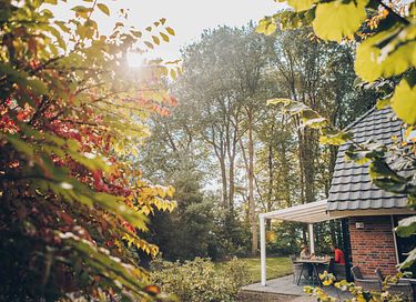 Knus vakantiehuis met wellness in de natuur - 2