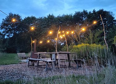 Rustig gelegen tiny house met weids uitzicht - 16