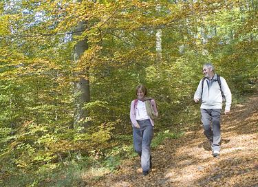 Logement de vacances à la lisière de la forêt dans le Sauerland - 24
