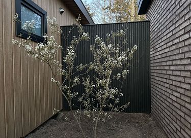 Waldhaus mit Wellness und Aussicht in Drenthe - 31