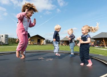 Glamping à la ferme des Alpagas - 26