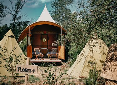Glamping met de familie in Brabant - 4