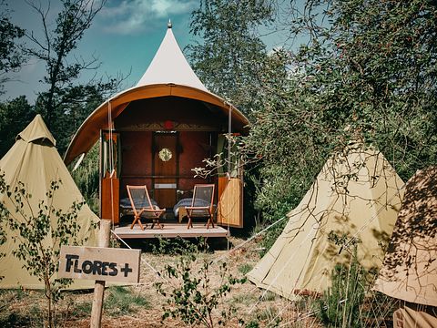 Glamping met de familie in Brabant - 4
