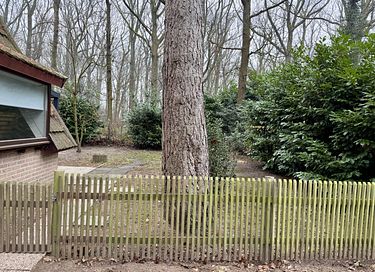 Hundefreundliches Waldhaus - 13