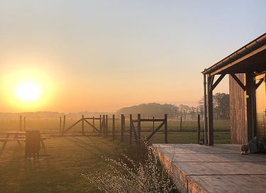 Tiny House (hot tub) overlooking Alpacas - 19