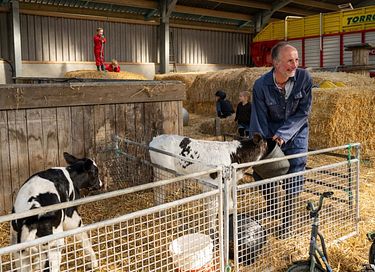 Glamping op een boerderij in Friesland - 7