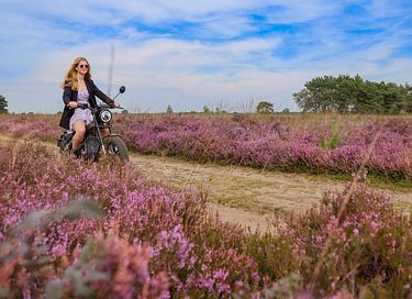 4-persoons wellness vakantiehuis - 45