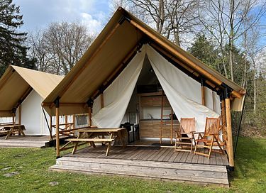 Leuke glampingtent in de Utrechtse bossen 