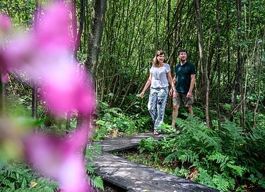 Luxe vakantiewoning (6 personen) op een park - 39
