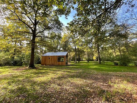 Prachtig tiny house in het bos - 2