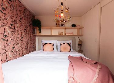 Tiny House in boomgaard tussen de schapen - 16